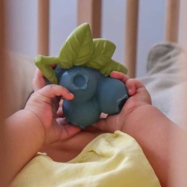 Jerry the Blueberry - Image 2