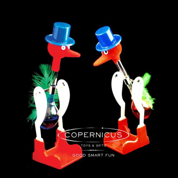Thermodynamic Drinking Bird Experiment