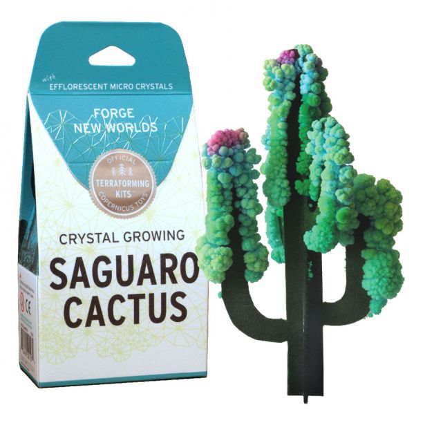Crystal Growing: Saguaro Cactus