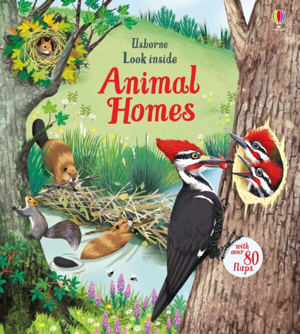 Look Inside Animal Homes Flap Book