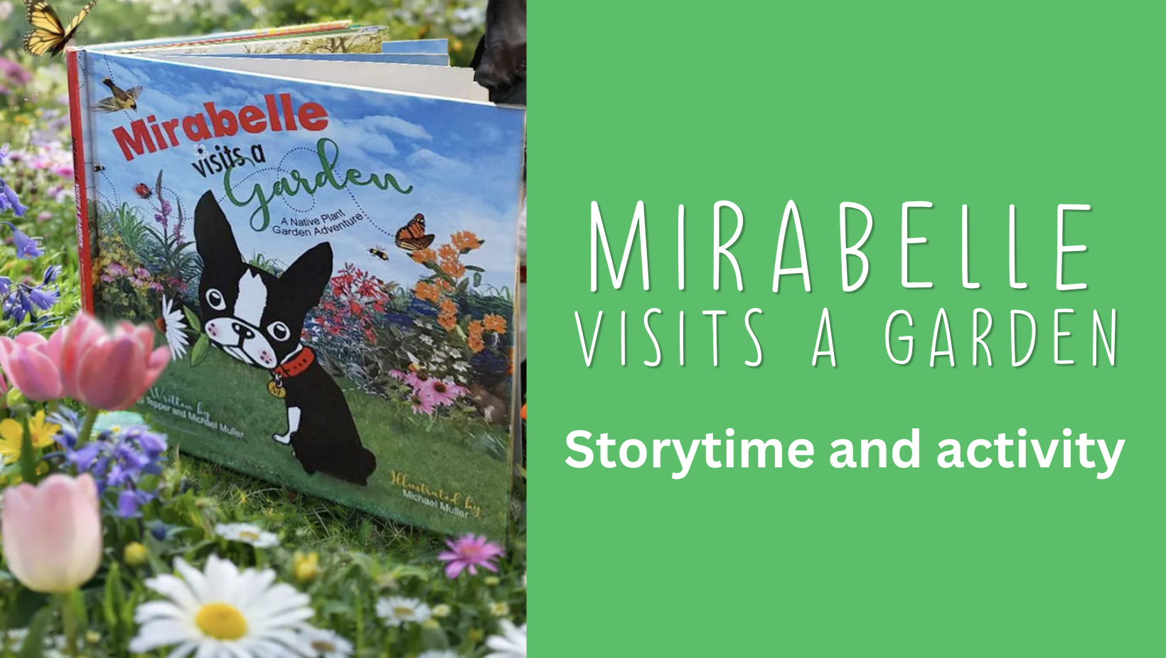 Storytime