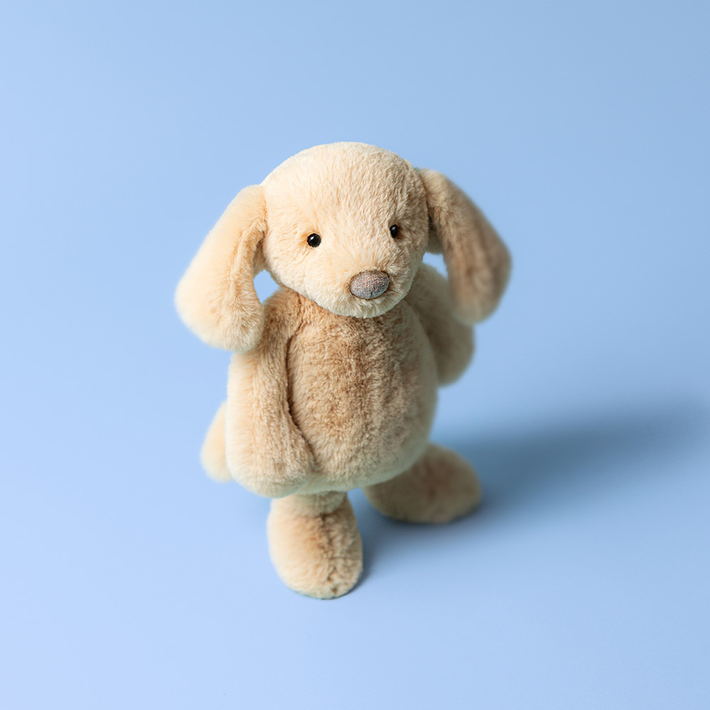 Jellycat Medium Bashful Puppy Orlando - Image 3