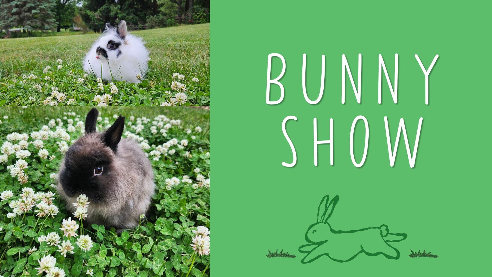 Bunny Show